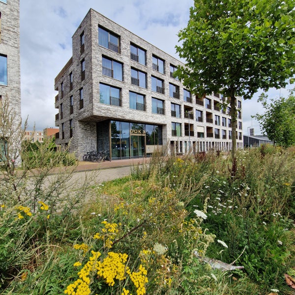 appartementen te huur op De Kaai