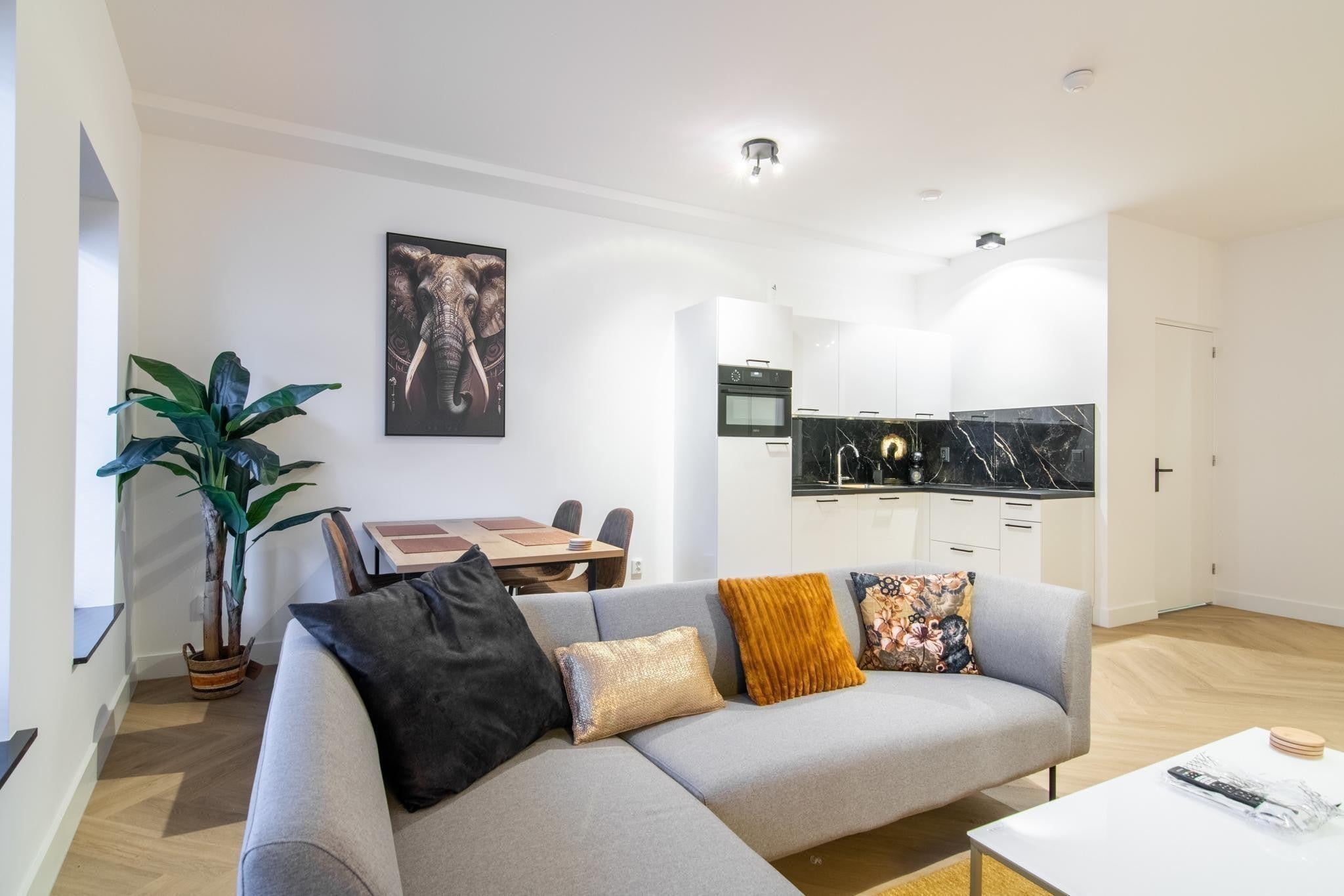 Te huur Appartement Hoefstraat in Tilburg