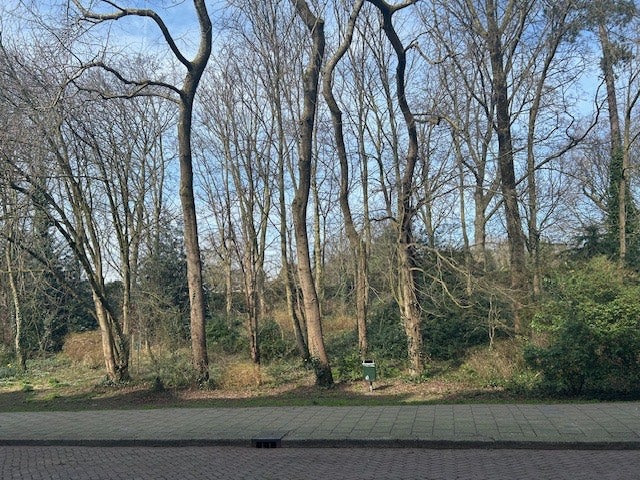 Woning te huur: Delistraat, 'S-Gravenhage