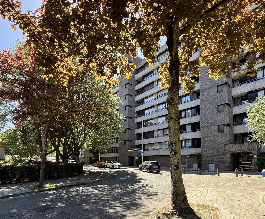 Flat Amundsenlaan 193