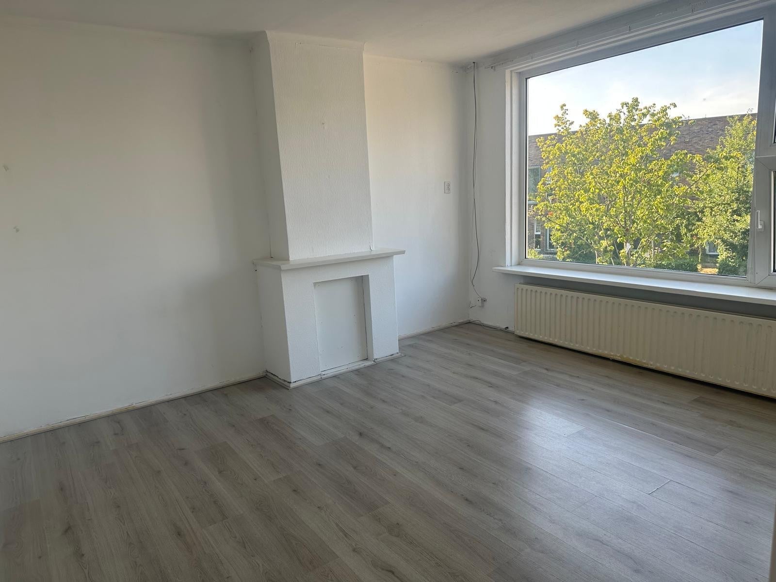 Room Werumeus Buningstraat