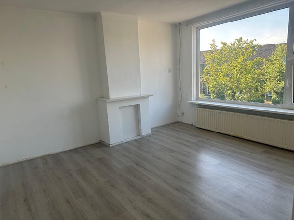Zimmer Werumeus Buningstraat in Groningen