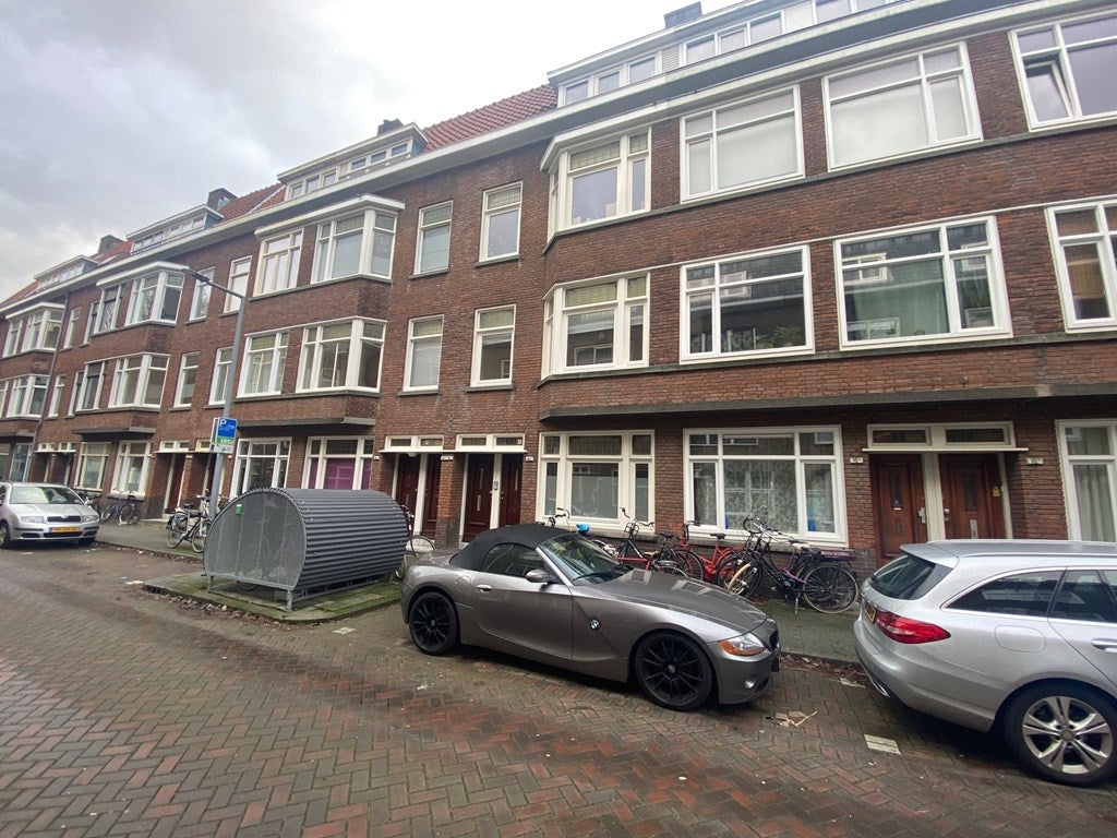 Flat Luzacstraat