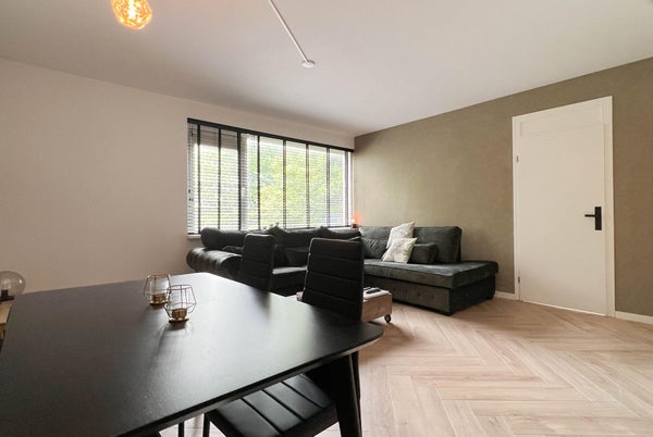 Picture of Rental Apartments Haarlem