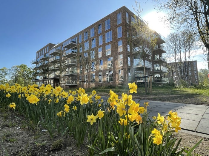 Te huur: Appartement Winklerlaan in Utrecht