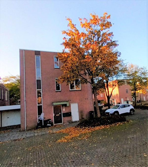 Schietbergen