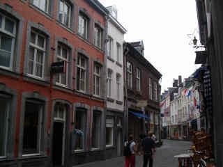 studios te huur op Platielstraat