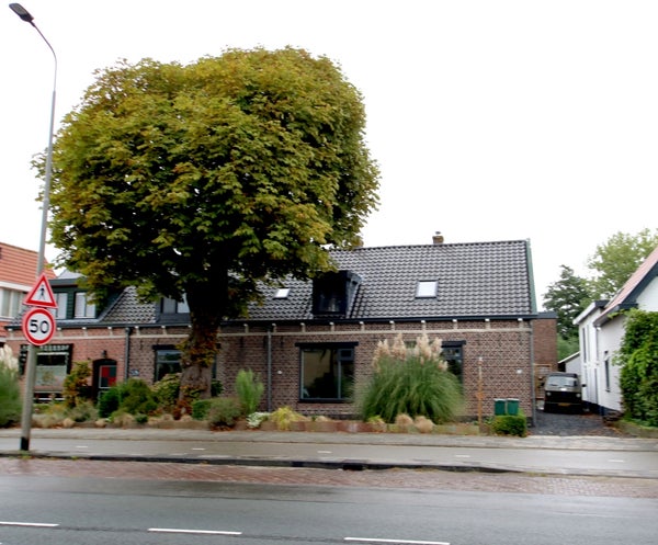 Delfweg