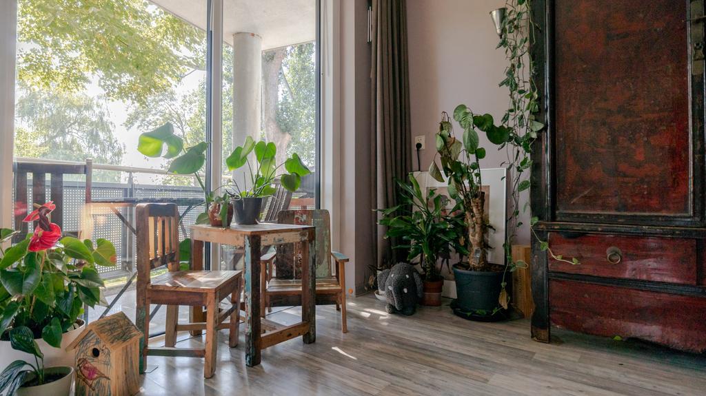 Woning te huur: Asserstraat, Leiden