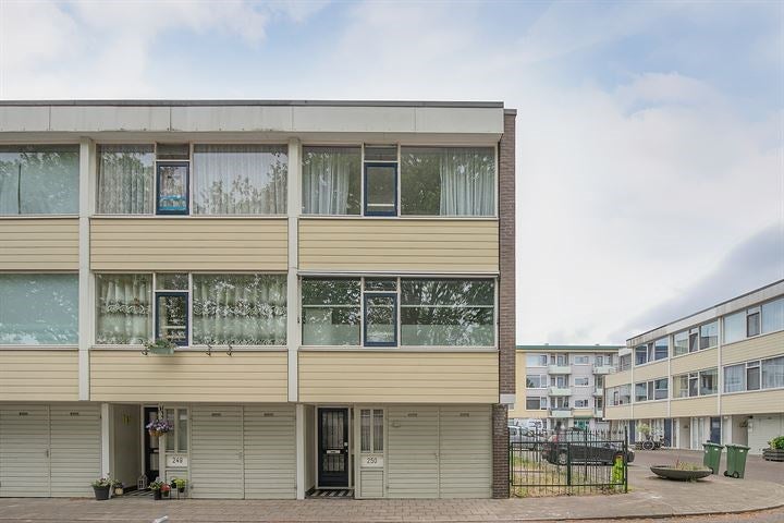 A rental house advertisment