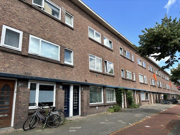 Rijnlaan