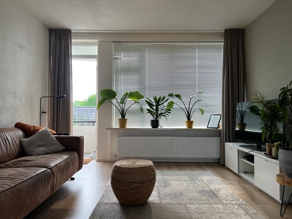 Appartement Adriaan van Ostadestraat in Groningen