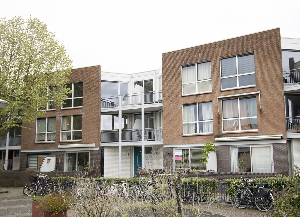 Flat Blankenbergestraat