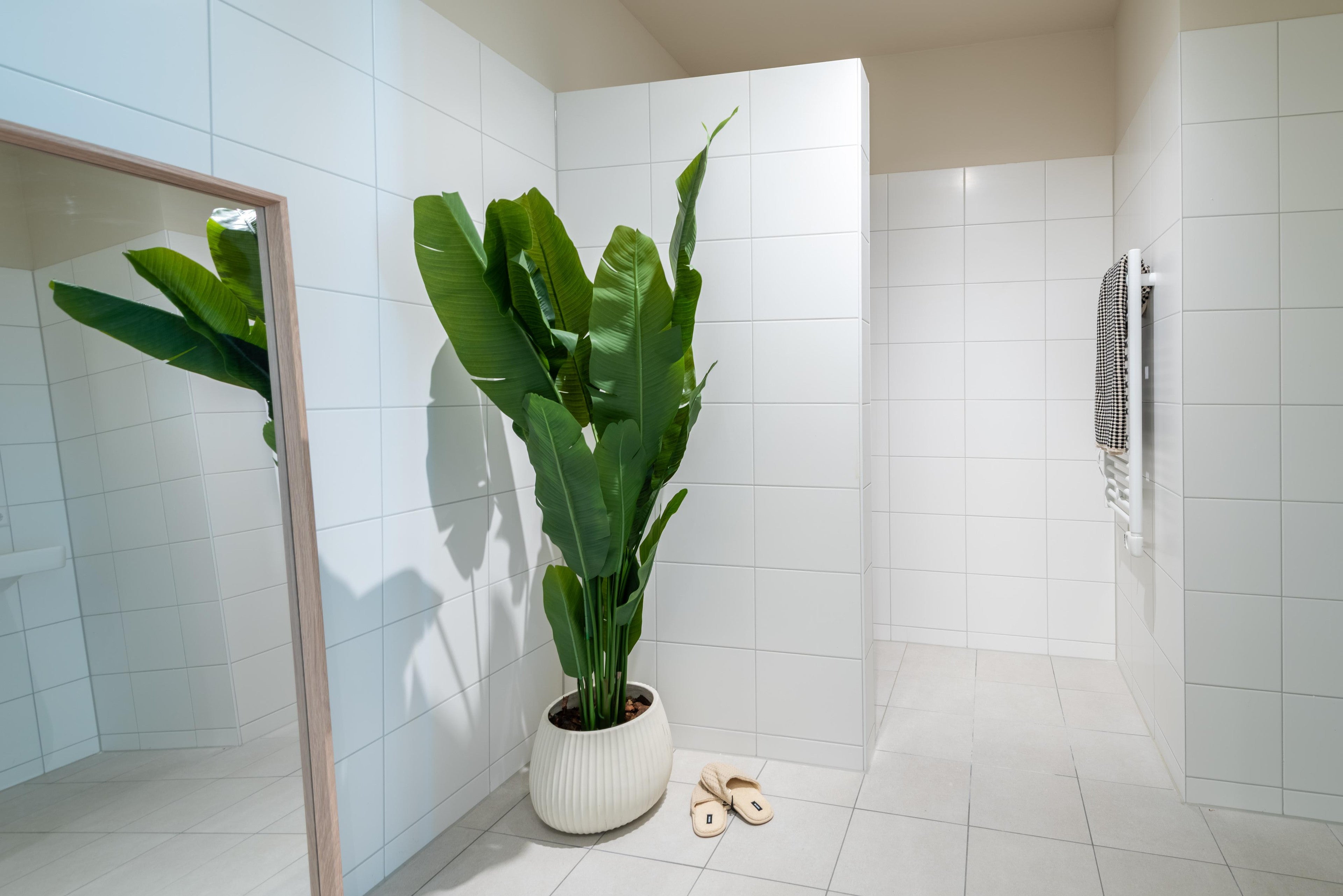 Woning te huur: Baan, Rotterdam