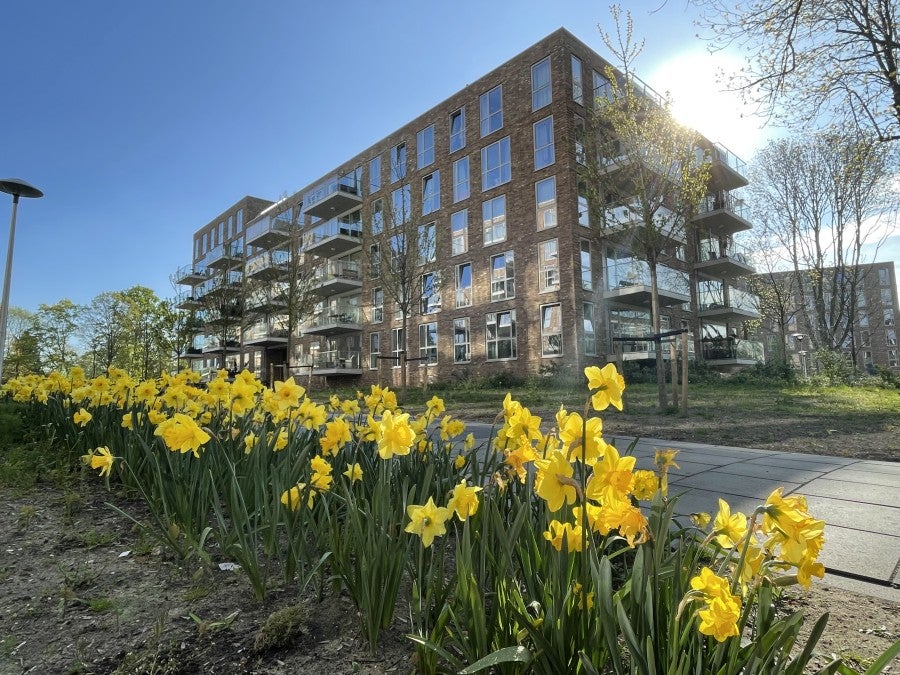 Flat Winklerlaan
