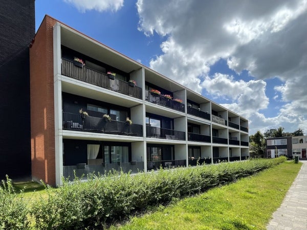 Piso Brandemeer en Leeuwarden