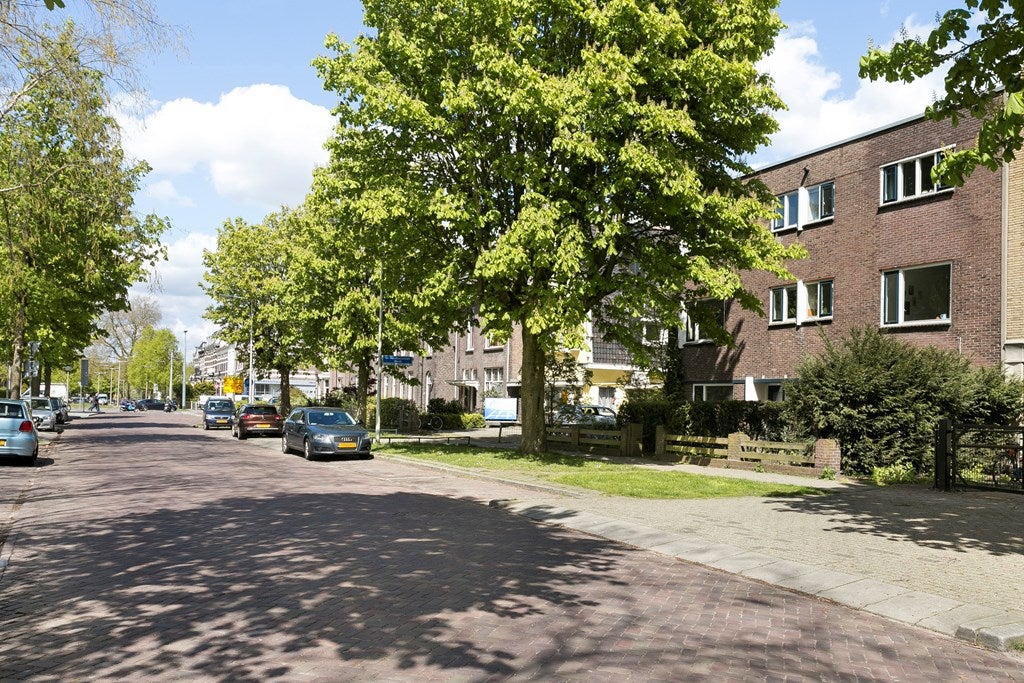 Room Van Oldenbarneveldtstraat
