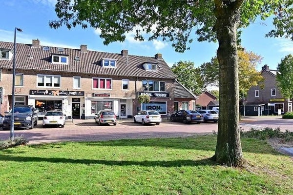 Flat Schapendrift in Laren