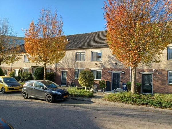 particuliere-woningen te huur op Nat King Colestraat