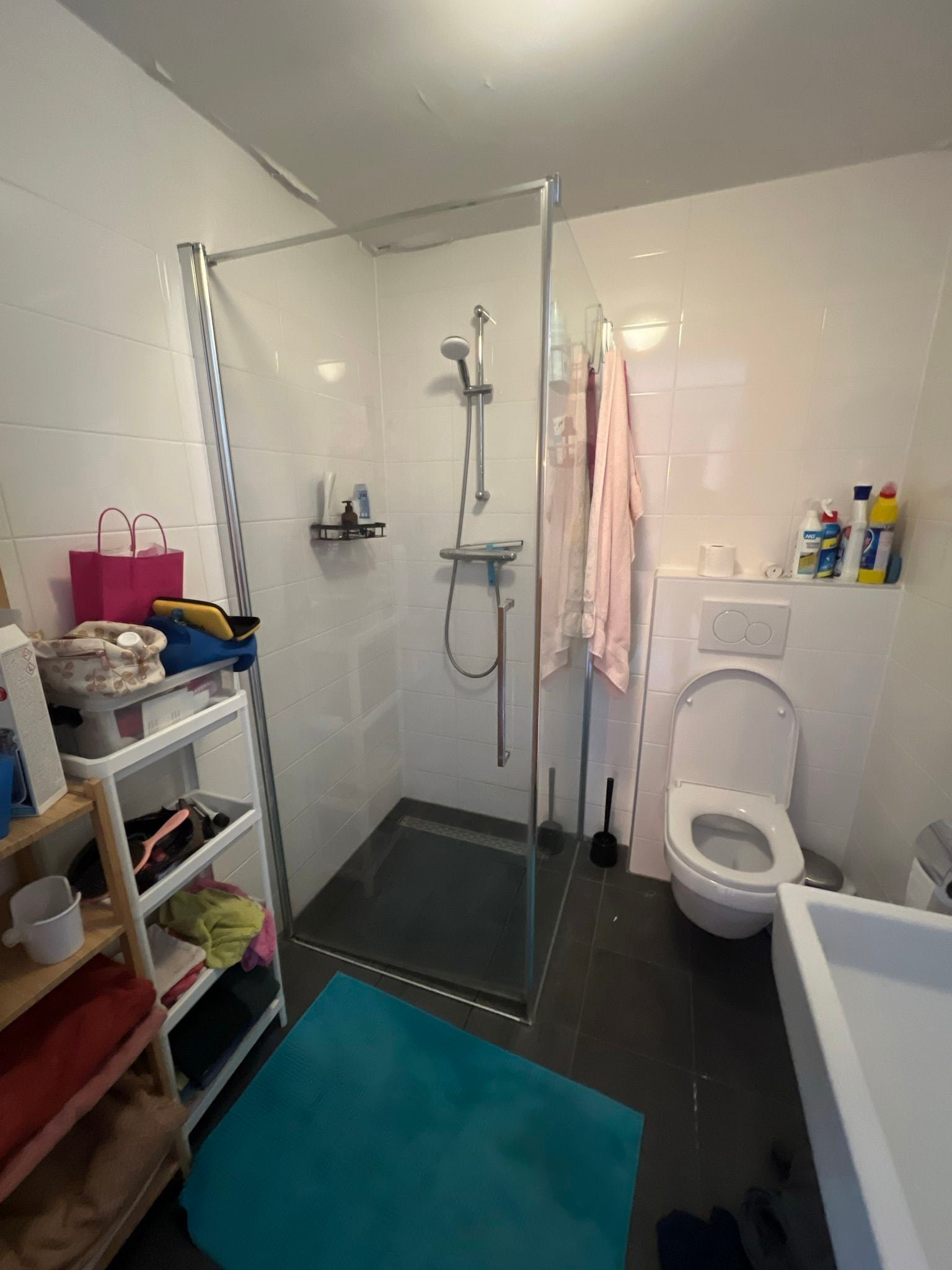 Woning te huur: Kolkrijst, Hoogland