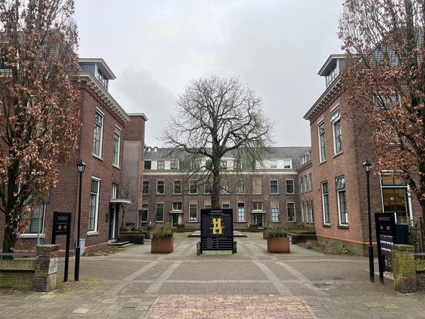 Rhijngeesterstraatweg