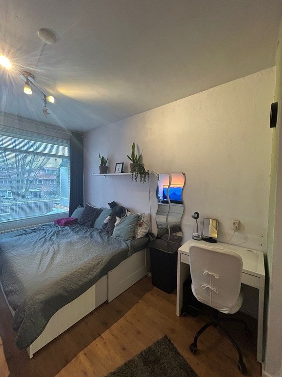 Thorbeckestraat 56 1 kamer 2