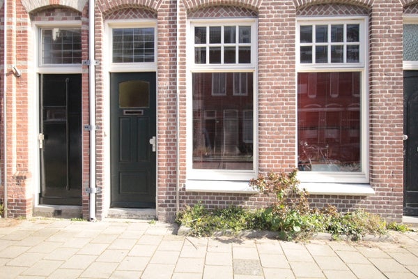 Flat Riouwstraat 33