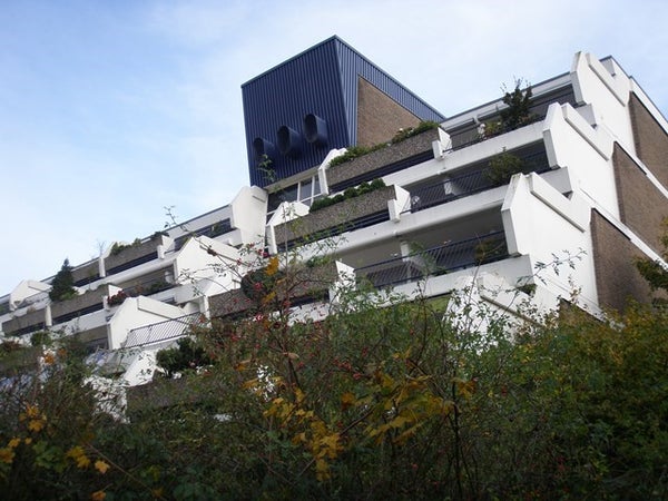Wildforster 455 Ede