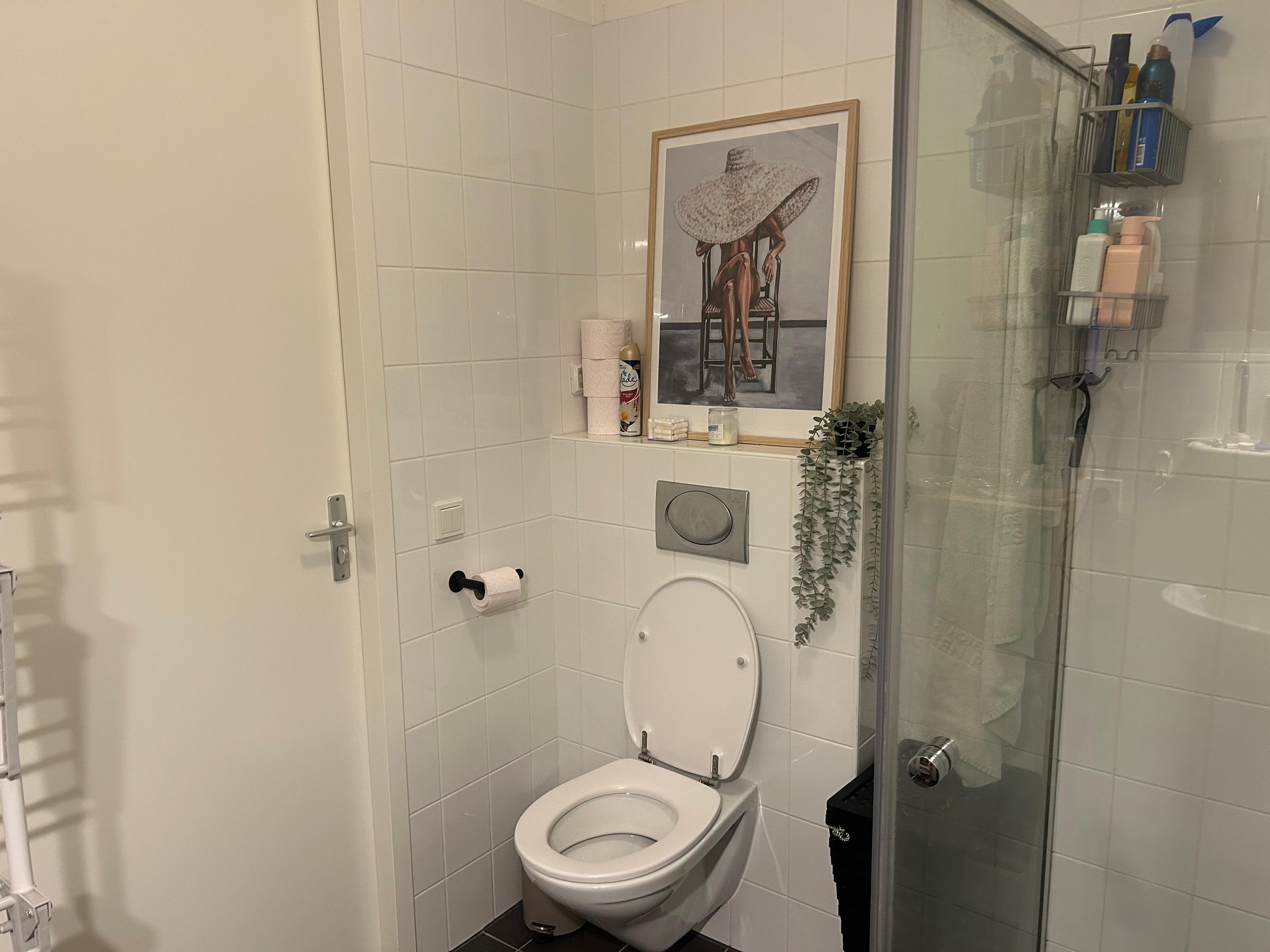 Te huur Appartement Piet Mondriaanlaan in Amersfoort