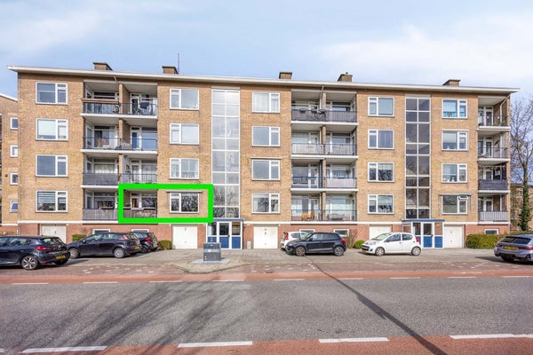 Ruysdaelstraat 100