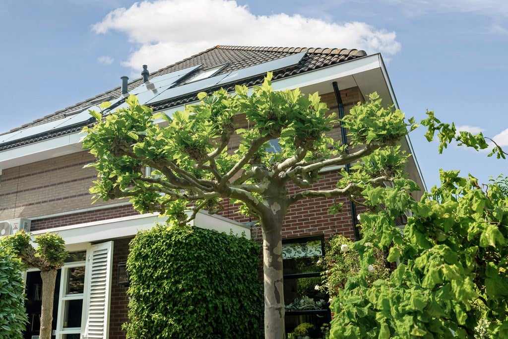 Hoekwoning te koop: Alexine Tinnepad 19, 'S-Gravenhage