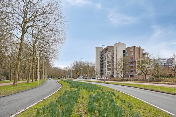 Flat Beysterveld in Amsterdam