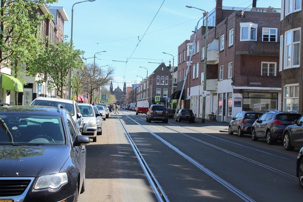 Goudenregenstraat