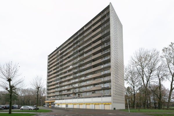 Tjaarda
