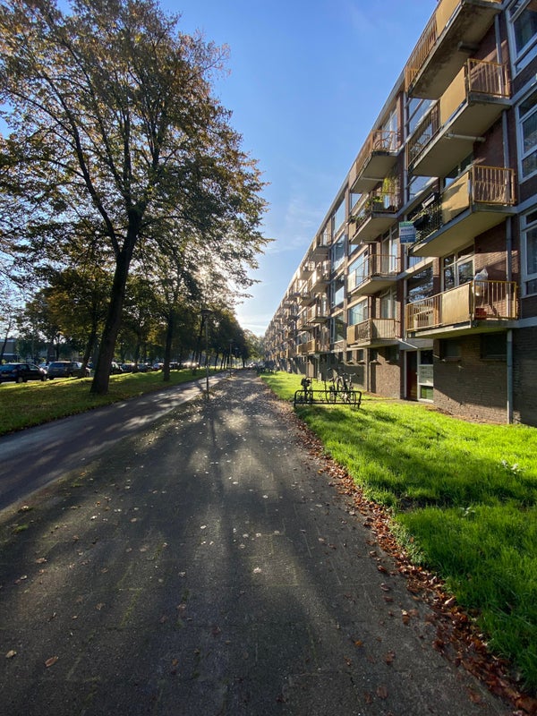 Te huur Appartement Moezeldreef in Utrecht