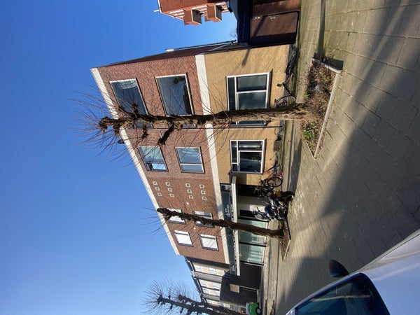 Geulstraat
