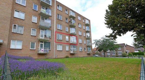 Parklaan