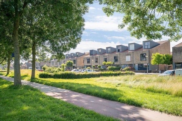 Vlaamse Gaai