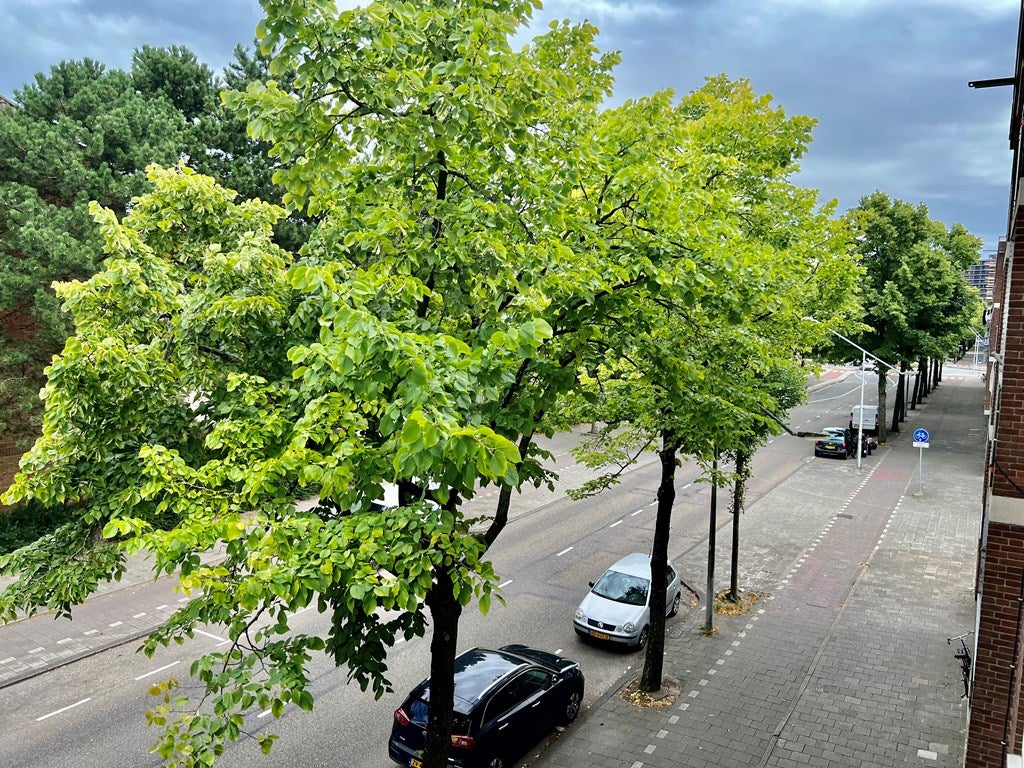 Appartement te huur: Werengouw 397, Amsterdam