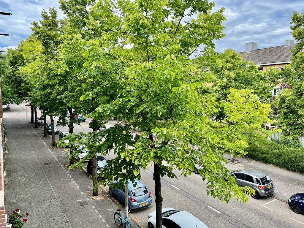 Appartement te huur: Werengouw 397, Amsterdam
