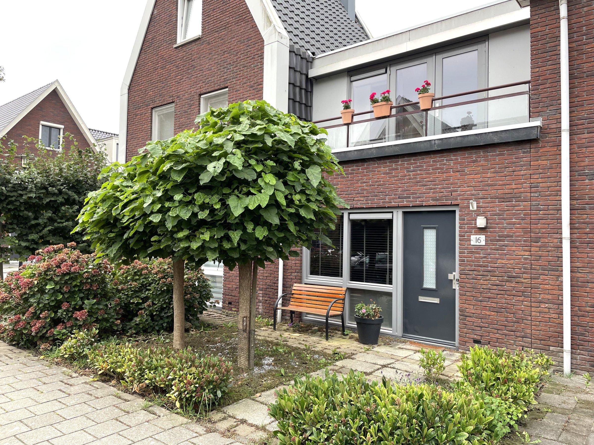 Zijlijnstraat