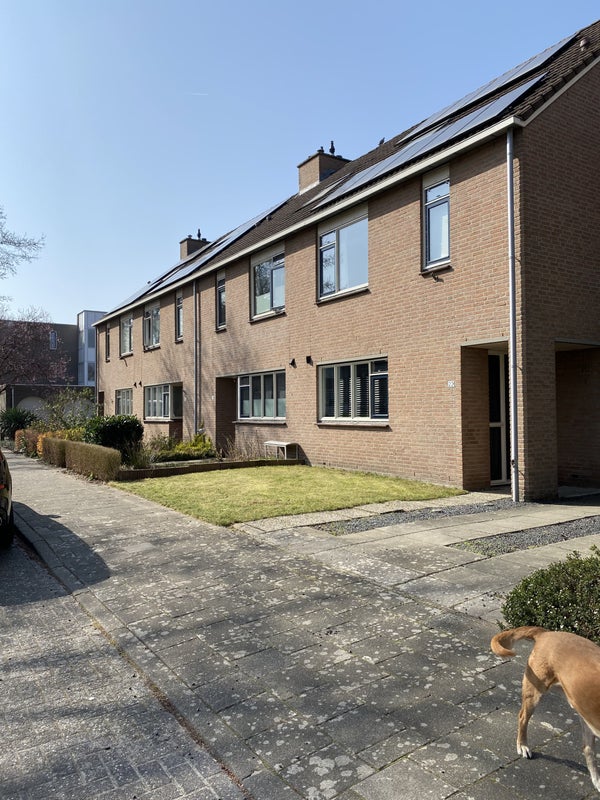 Bart de Ligtstraat 26