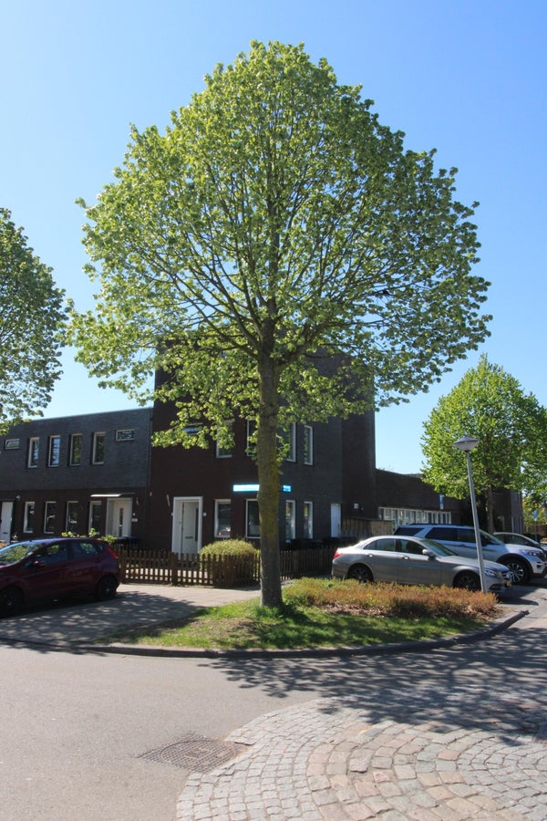 Albrecht Dürerweg Almere