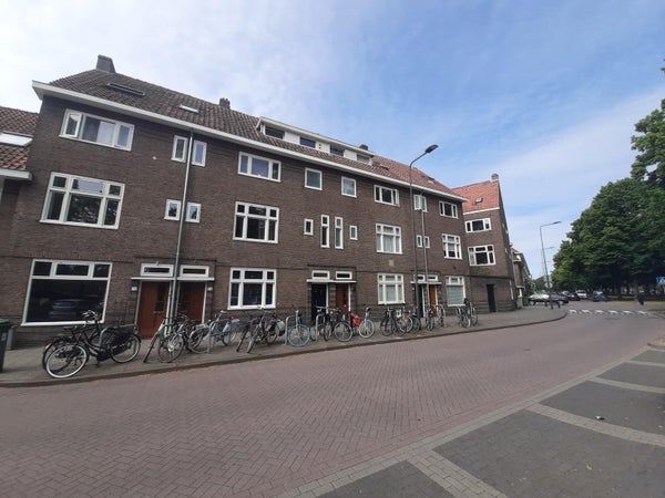 Room Geldersedam in Den Bosch