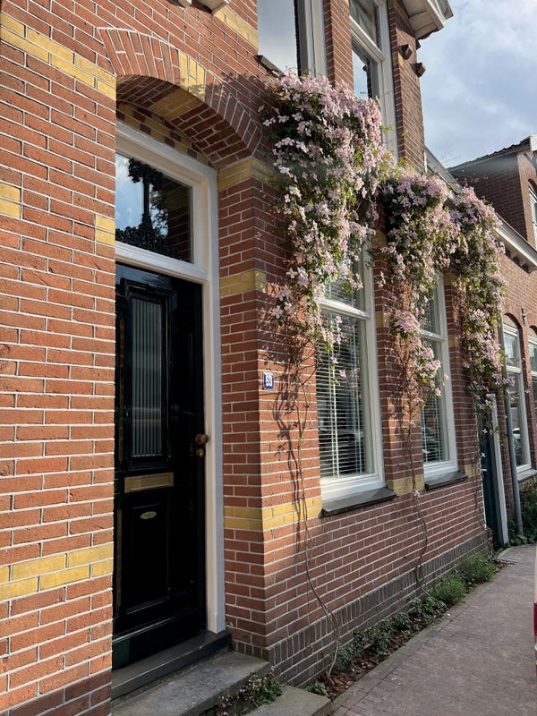 Wohnhaus Langestraat in Zaandam