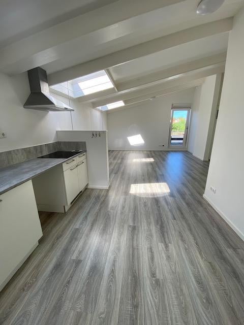 apartments for rent on Lucas van Leydenstraat