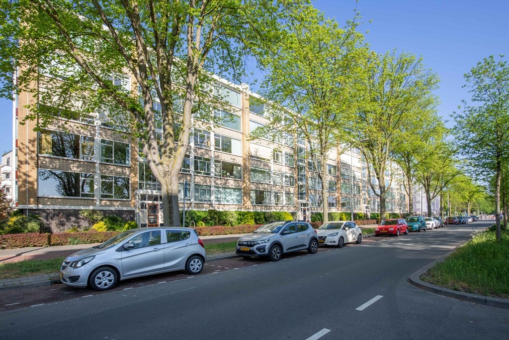 Te huur Appartement Groen van Prinstererlaan in Den Haag
