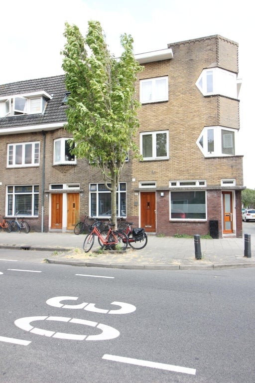 Pieter Nieuwlandstraat