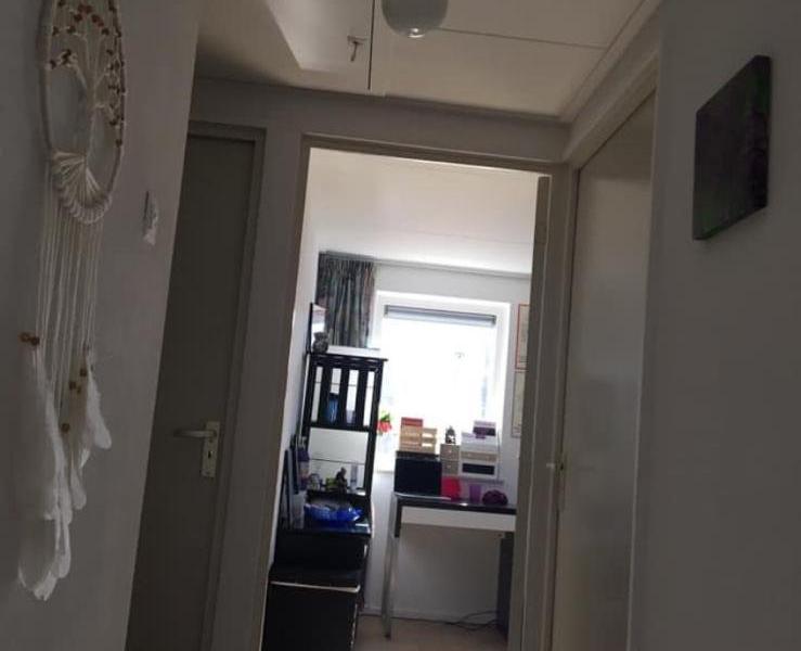 A rental house advertisment