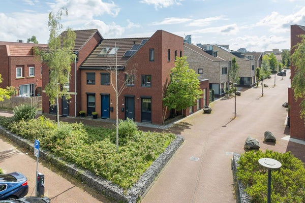 Desertosingel